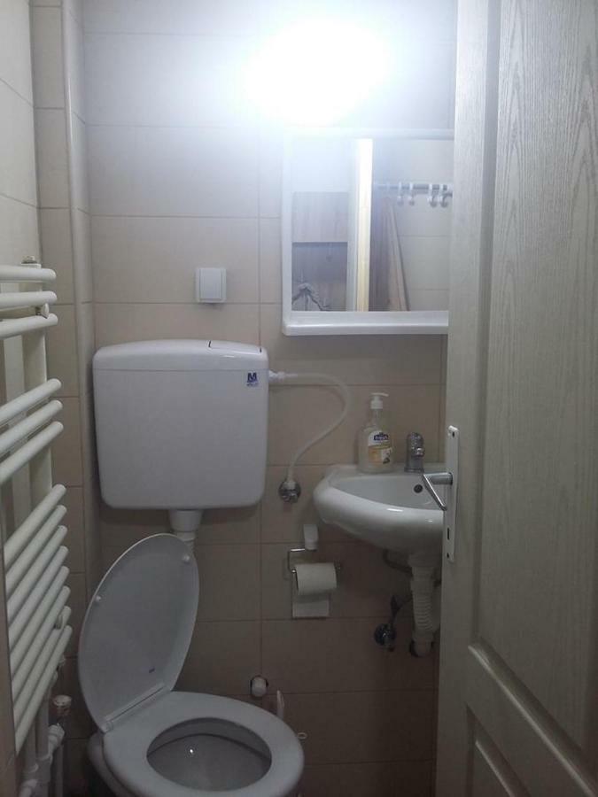 Domacinstvo Kod Gere Bed & Breakfast Crni Vrh Ngoại thất bức ảnh